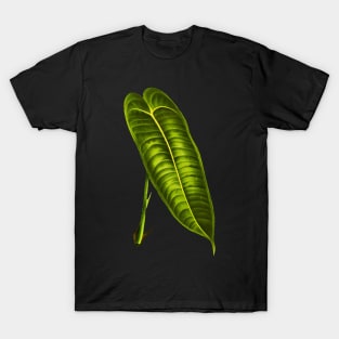 Anthurium Veitchii leaf botanical illustration T-Shirt